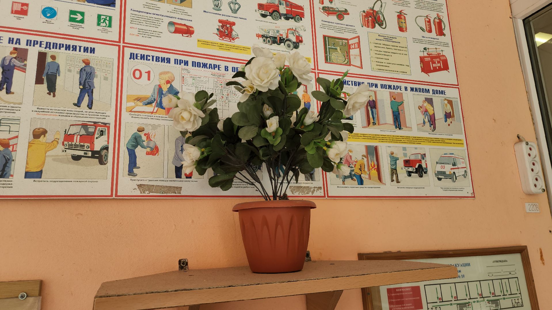 детский лагерь, летний лагерь при школе, щёлково,