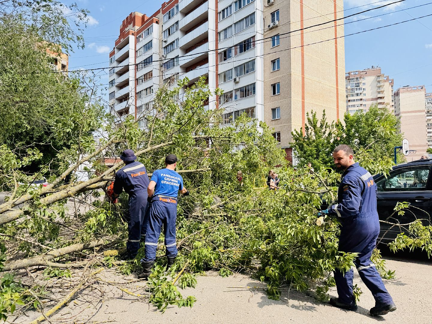 чп, раменское, рамспас, упавшие деревья, ураган, последствия непогоды,