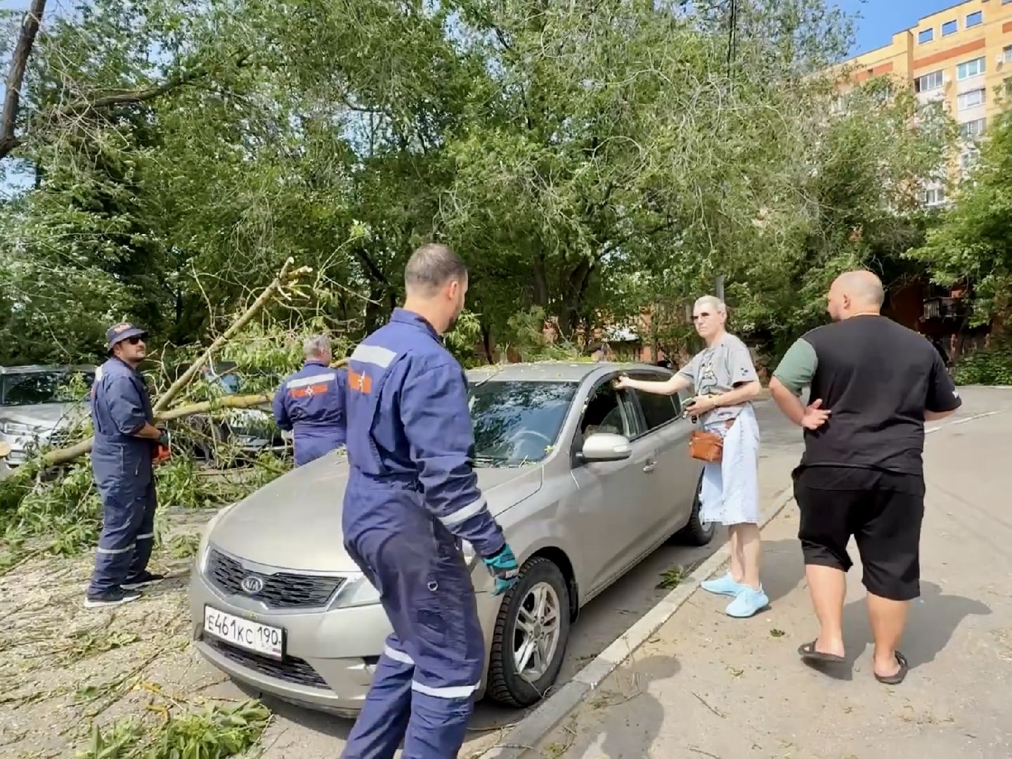 чп, раменское, рамспас, упавшие деревья, ураган, последствия непогоды,