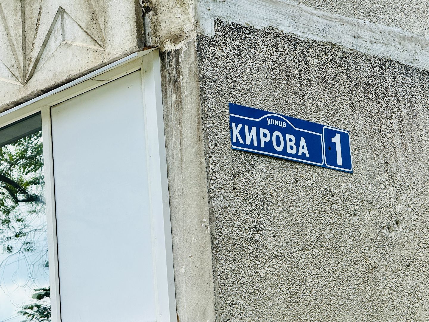 чп, раменское, рамспас, упавшие деревья, ураган, последствия непогоды,