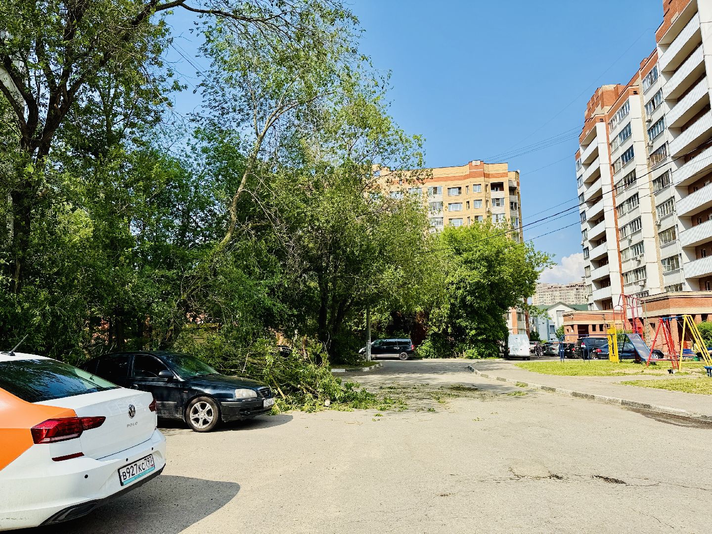чп, раменское, рамспас, упавшие деревья, ураган, последствия непогоды,