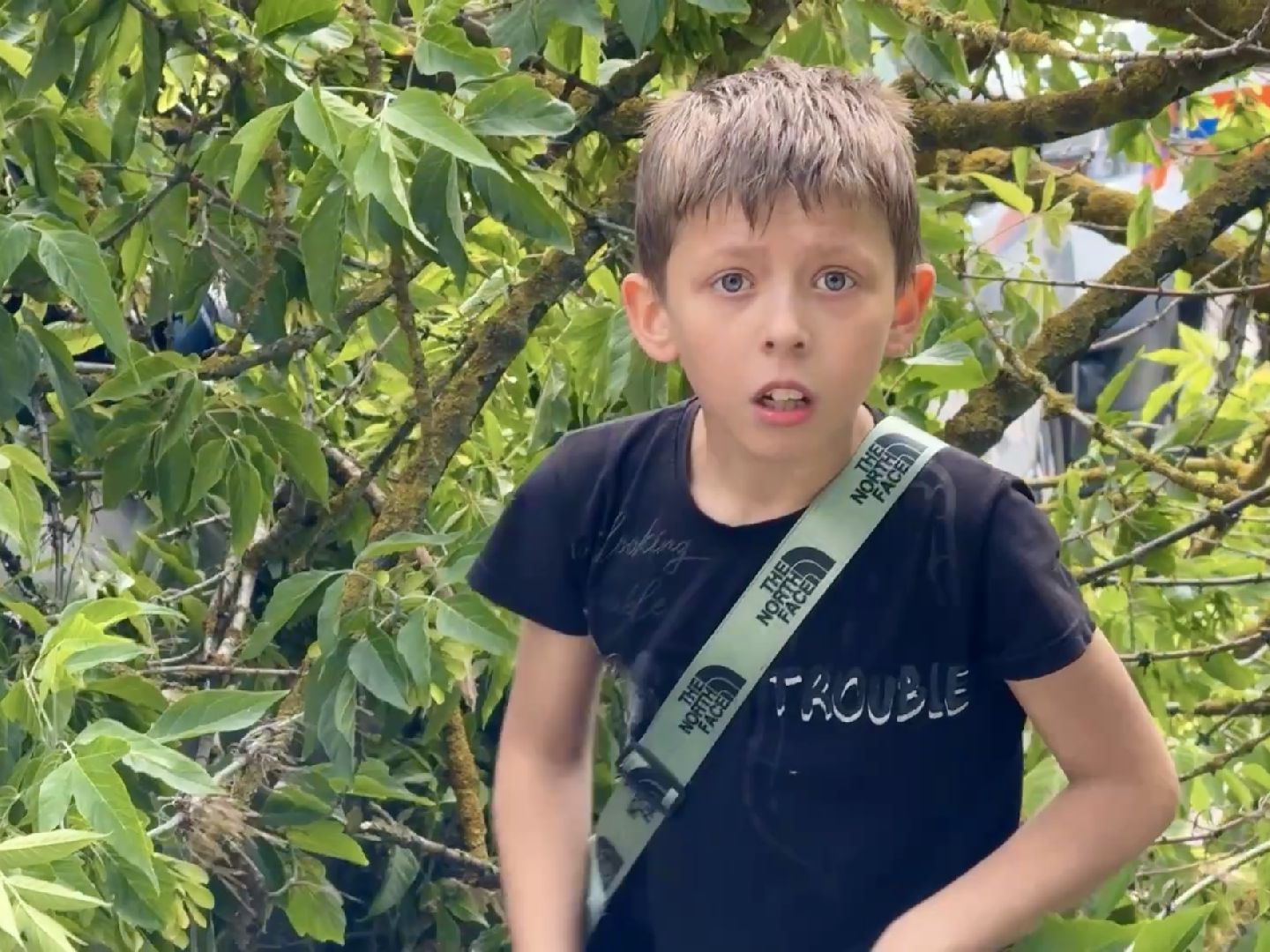 чп, раменское, рамспас, упавшие деревья, ураган, последствия непогоды,