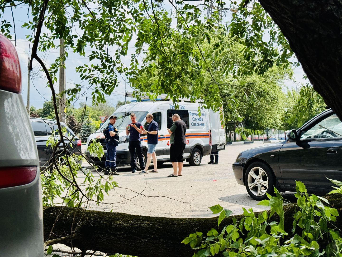 чп, раменское, рамспас, упавшие деревья, ураган, последствия непогоды,