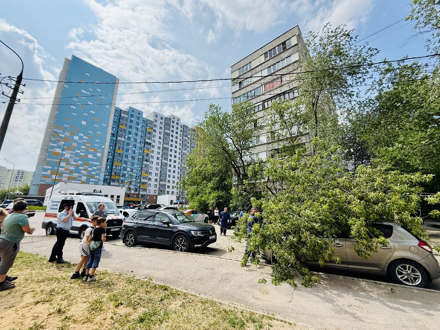 чп, раменское, рамспас, упавшие деревья, ураган, последствия непогоды,