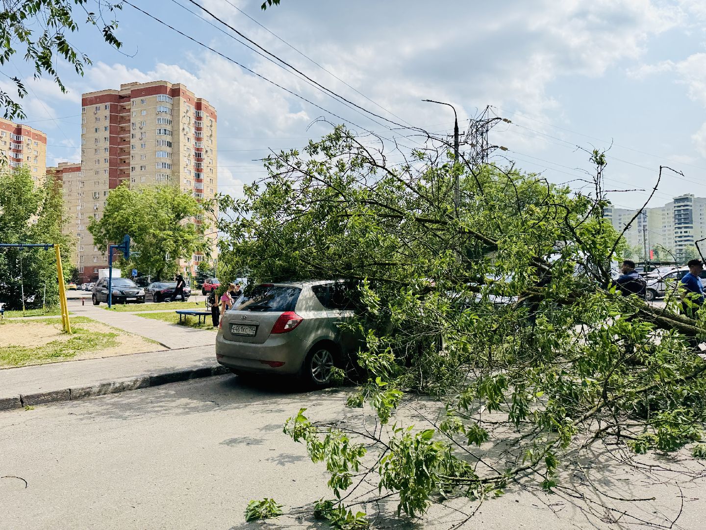 чп, раменское, рамспас, упавшие деревья, ураган, последствия непогоды,