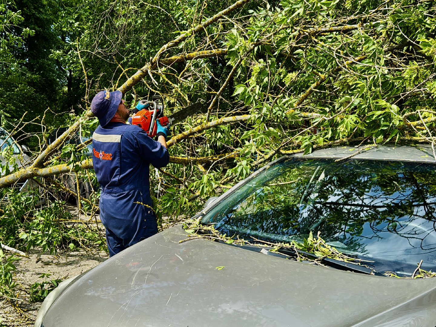 чп, раменское, рамспас, упавшие деревья, ураган, последствия непогоды,