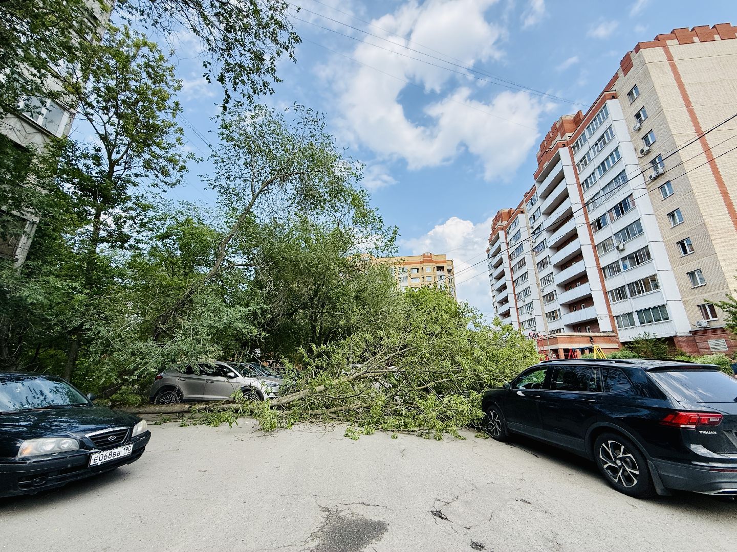 чп, раменское, рамспас, упавшие деревья, ураган, последствия непогоды,