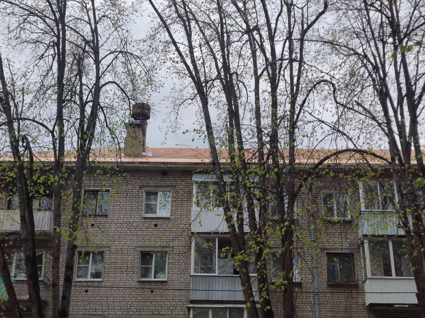 благоустройство, ремонт кровли, жкх, Дубна