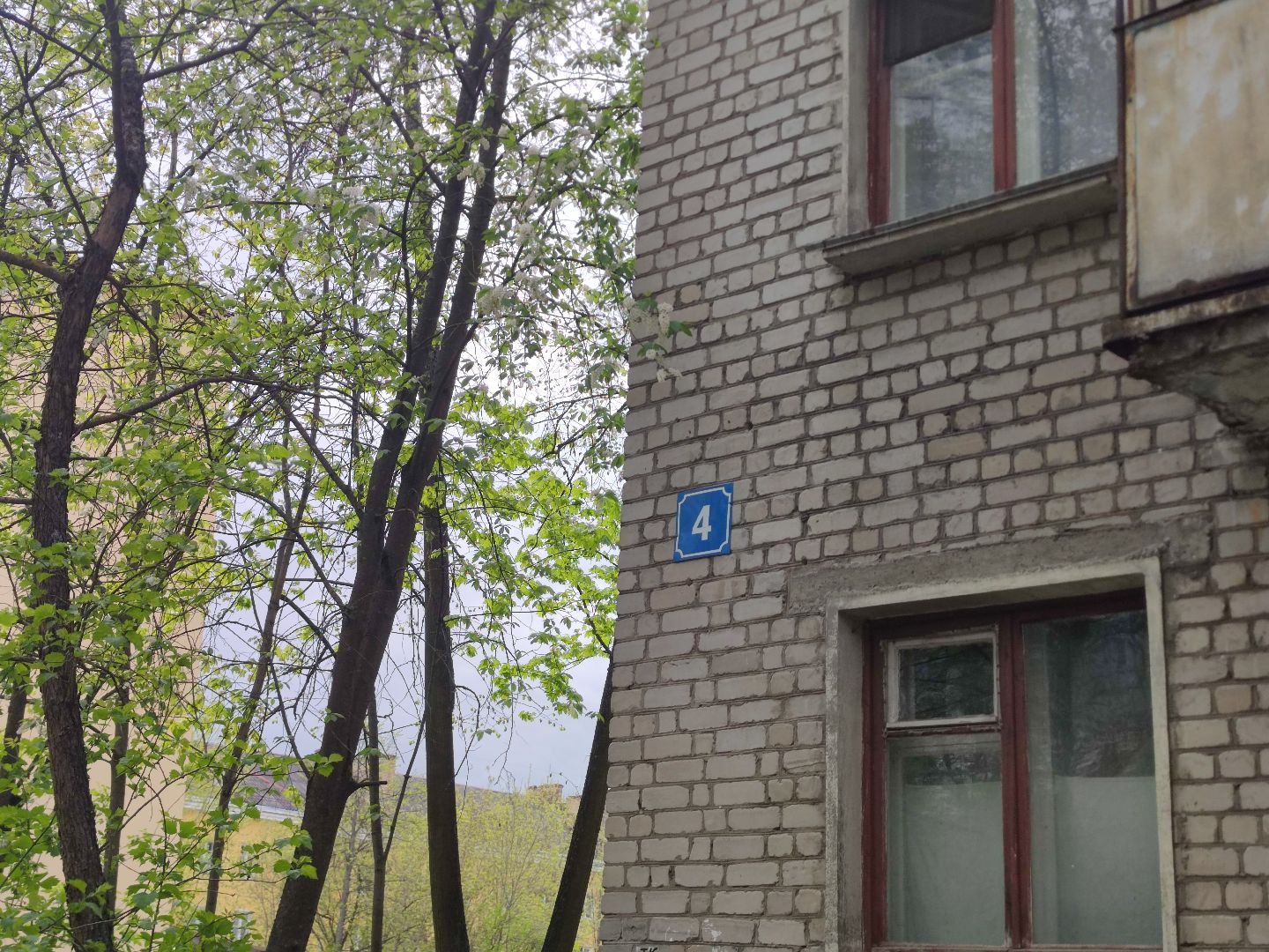 благоустройство, ремонт кровли, жкх, Дубна