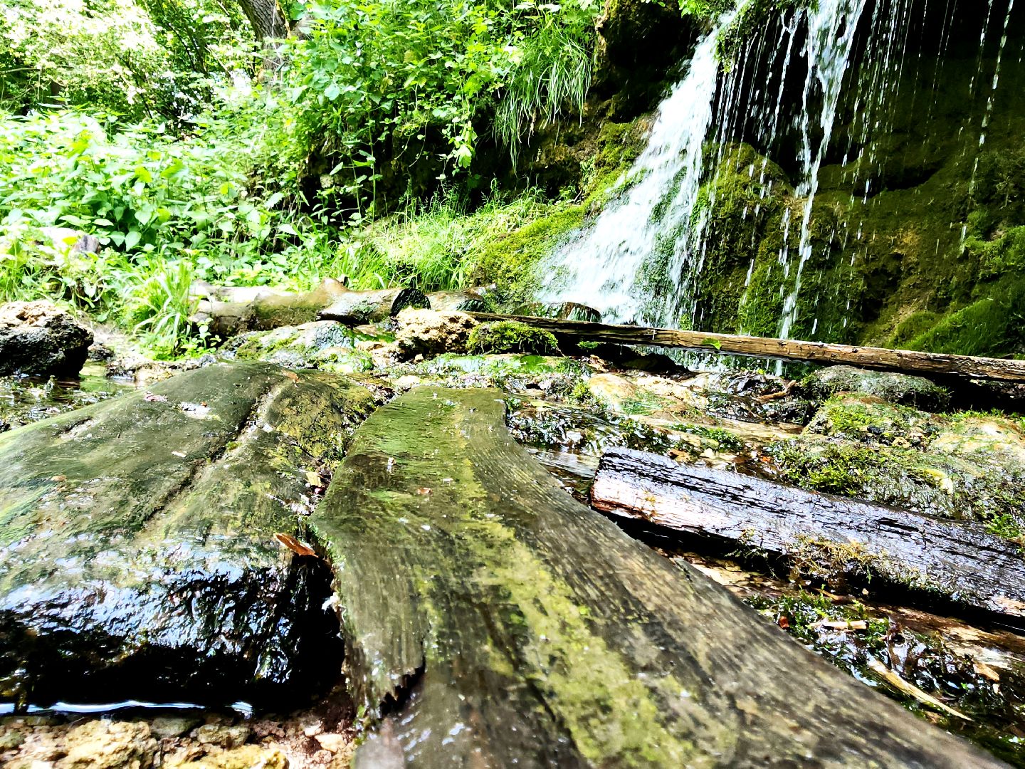 пущино, серпухов, туризм, лето в подмосковье,