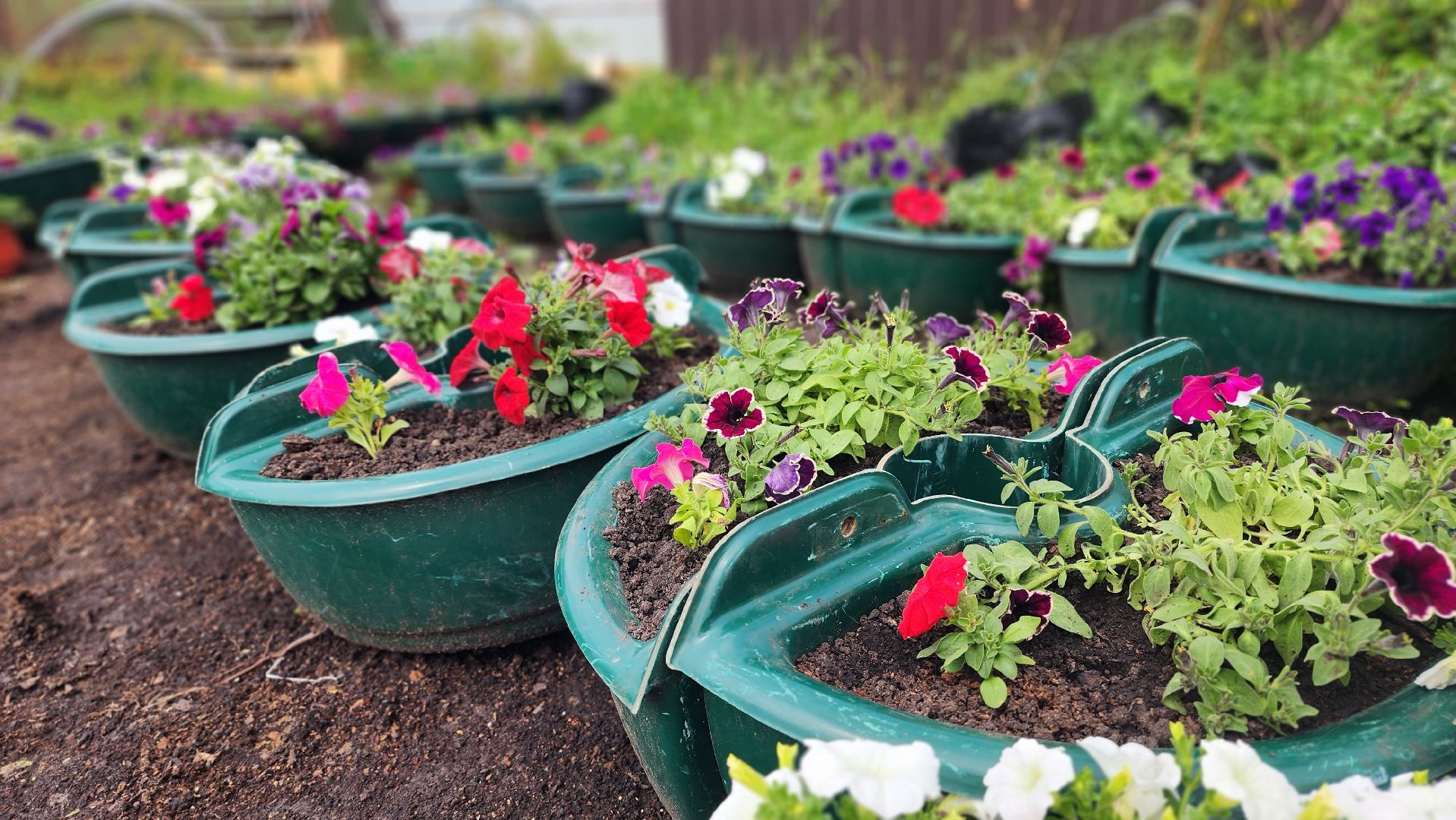 волоколамск, благоустройство,