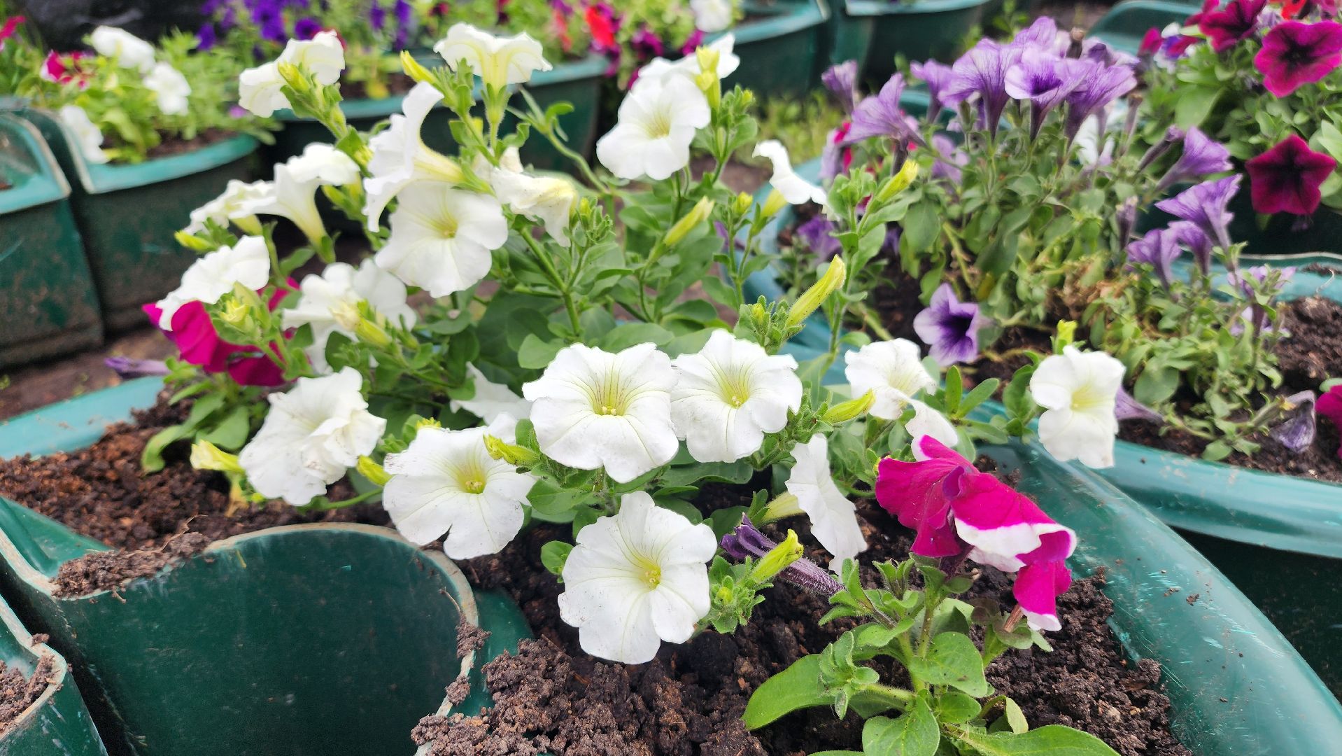 волоколамск, благоустройство,