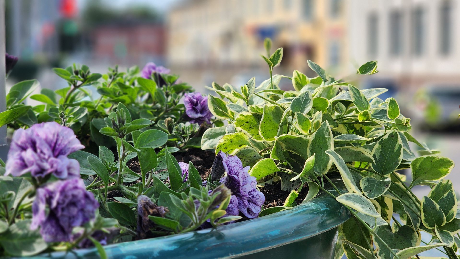 волоколамск, благоустройство,