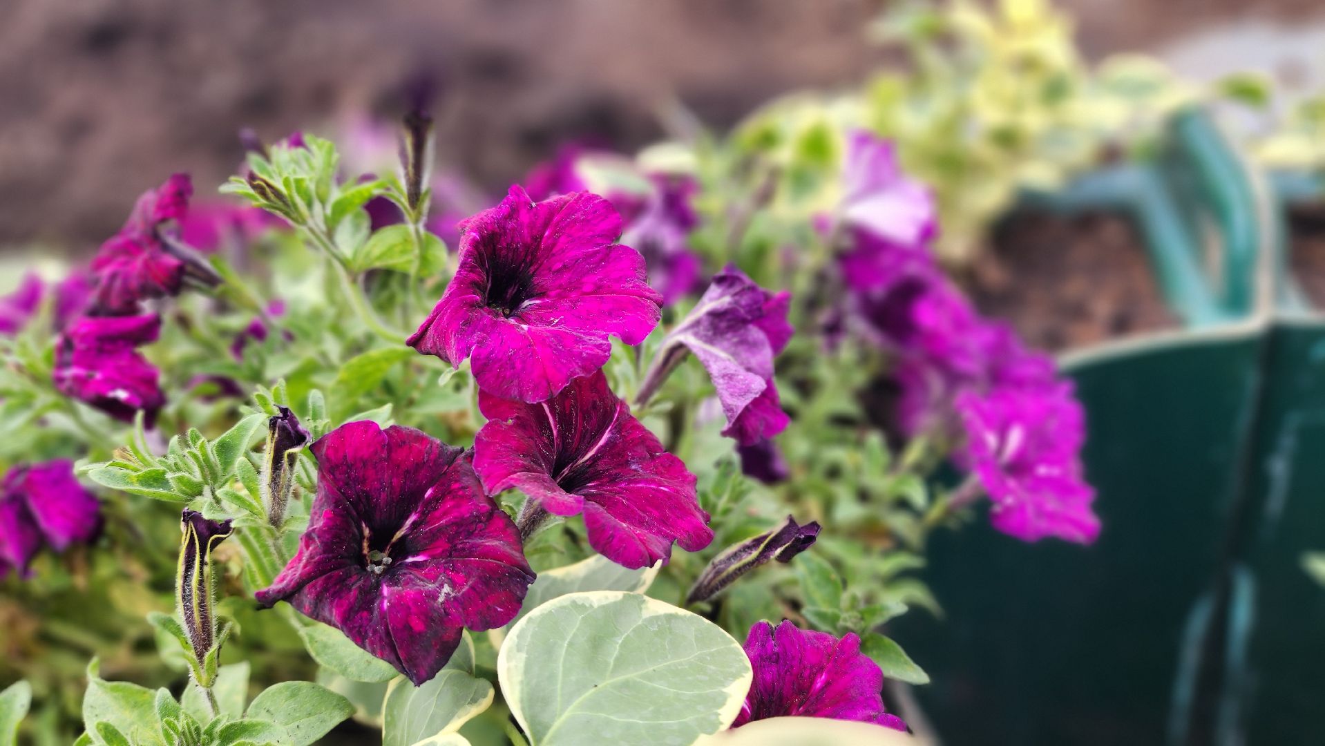 волоколамск, благоустройство,