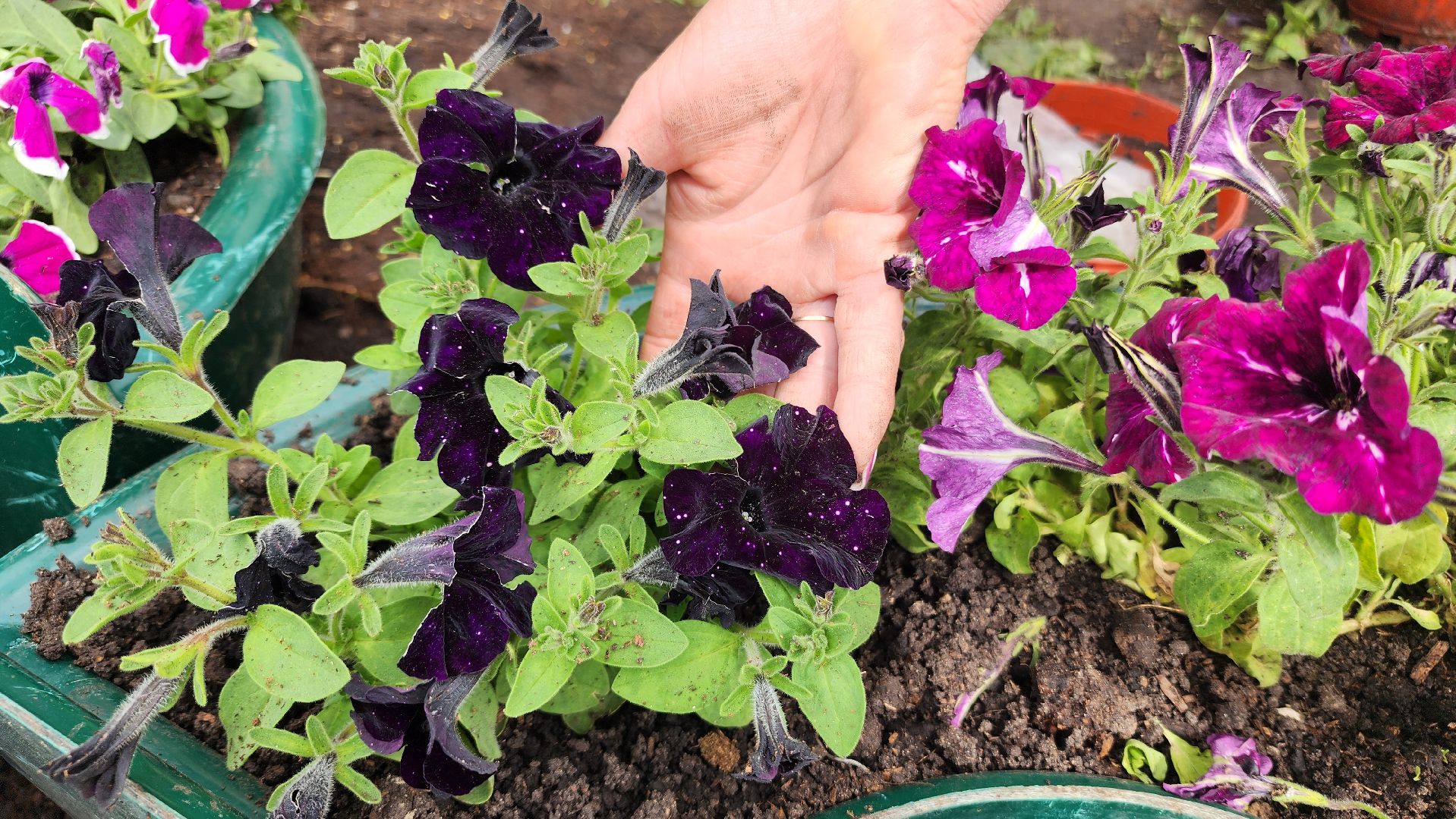 волоколамск, благоустройство,