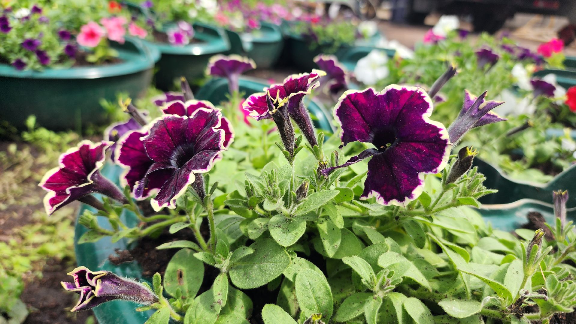 волоколамск, благоустройство,