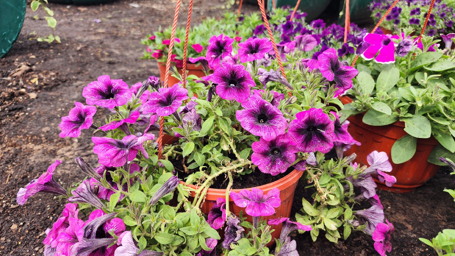 волоколамск, благоустройство,