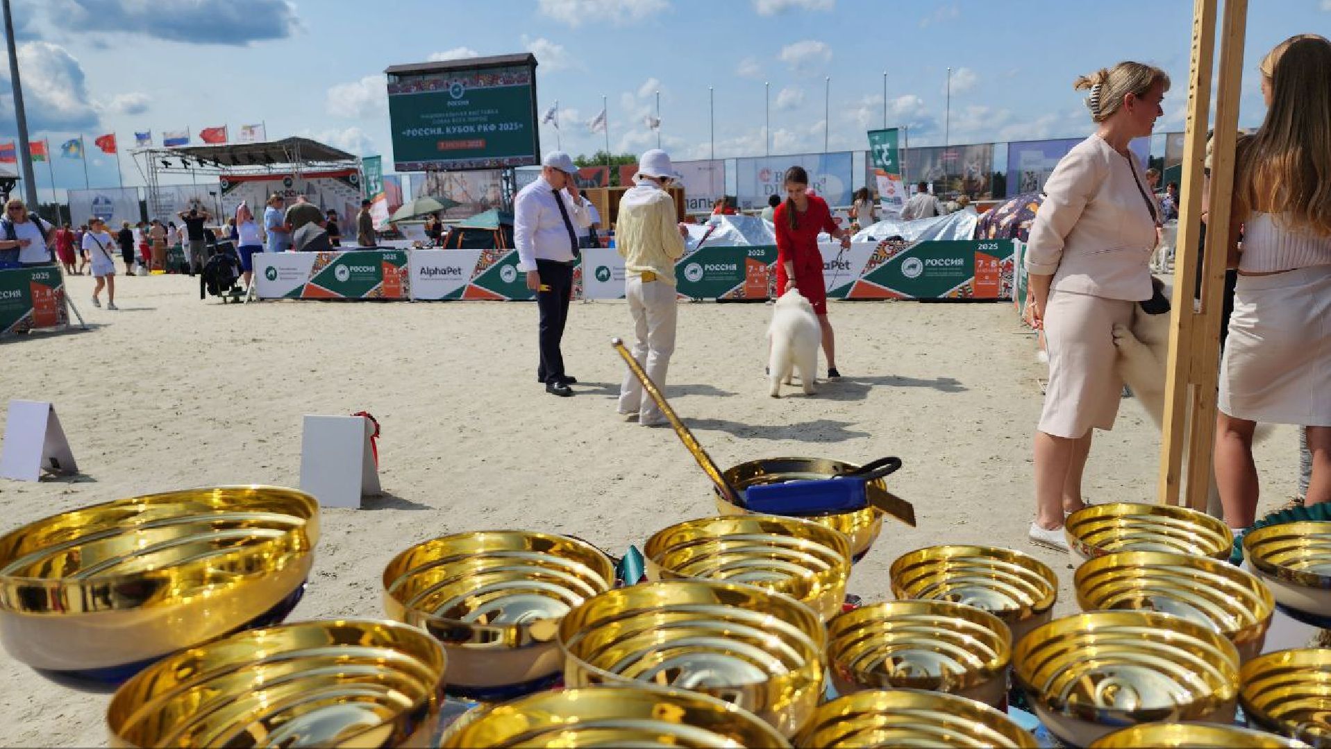 Дмитров, Выставка собак, Российская кинологическая федерация, Спорткомплекс Максима Парк,