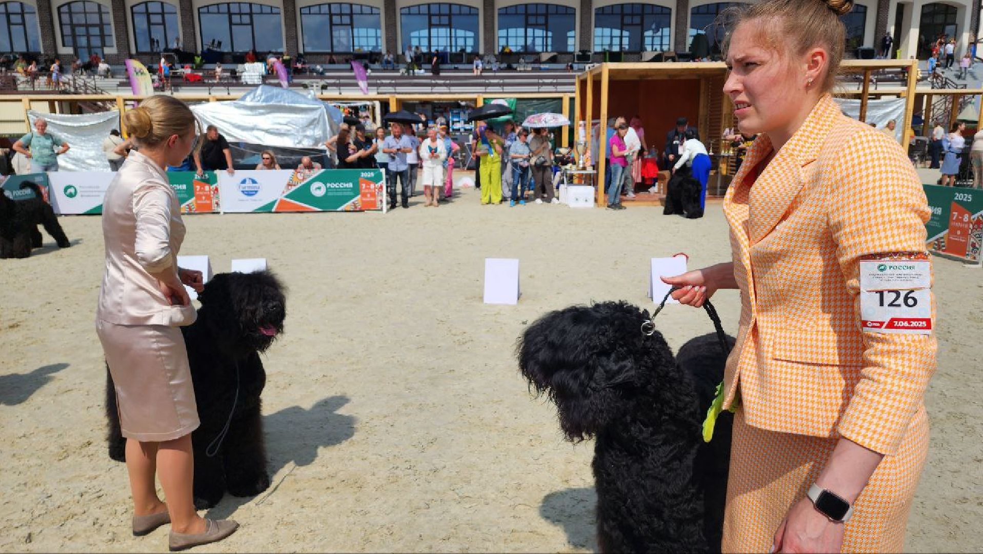Дмитров, Выставка собак, Российская кинологическая федерация, Спорткомплекс Максима Парк,