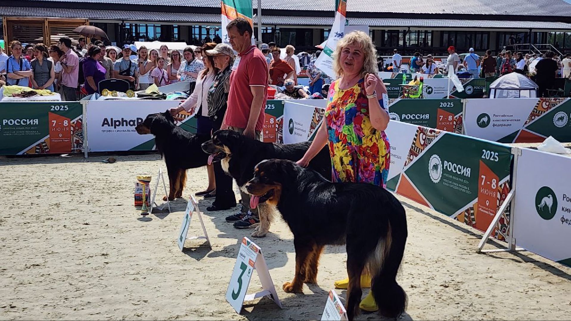 Дмитров, Выставка собак, Российская кинологическая федерация, Спорткомплекс Максима Парк,