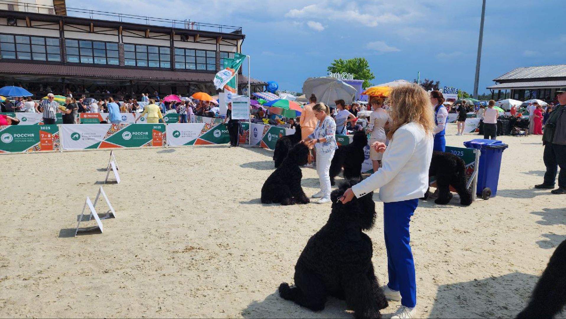 Дмитров, Выставка собак, Российская кинологическая федерация, Спорткомплекс Максима Парк,