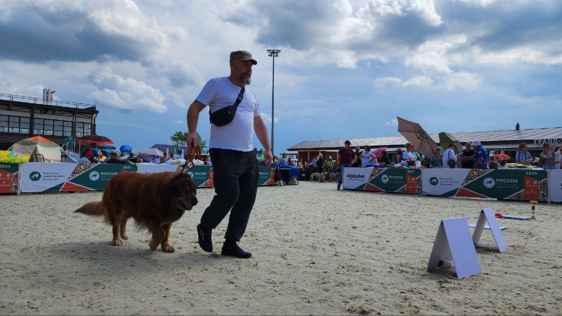 Дмитров, Выставка собак, Российская кинологическая федерация, Спорткомплекс Максима Парк,