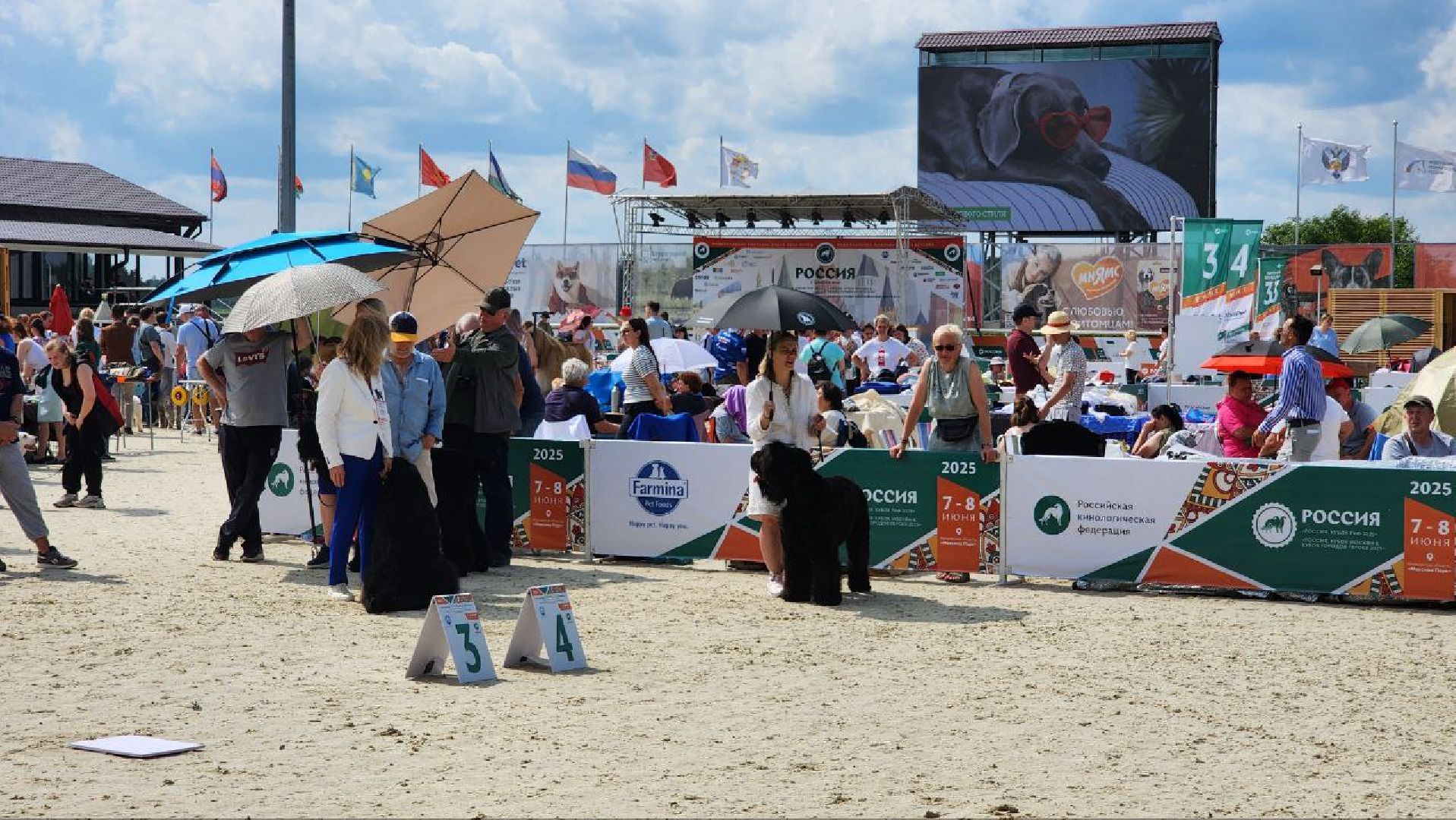 Дмитров, Выставка собак, Российская кинологическая федерация, Спорткомплекс Максима Парк,