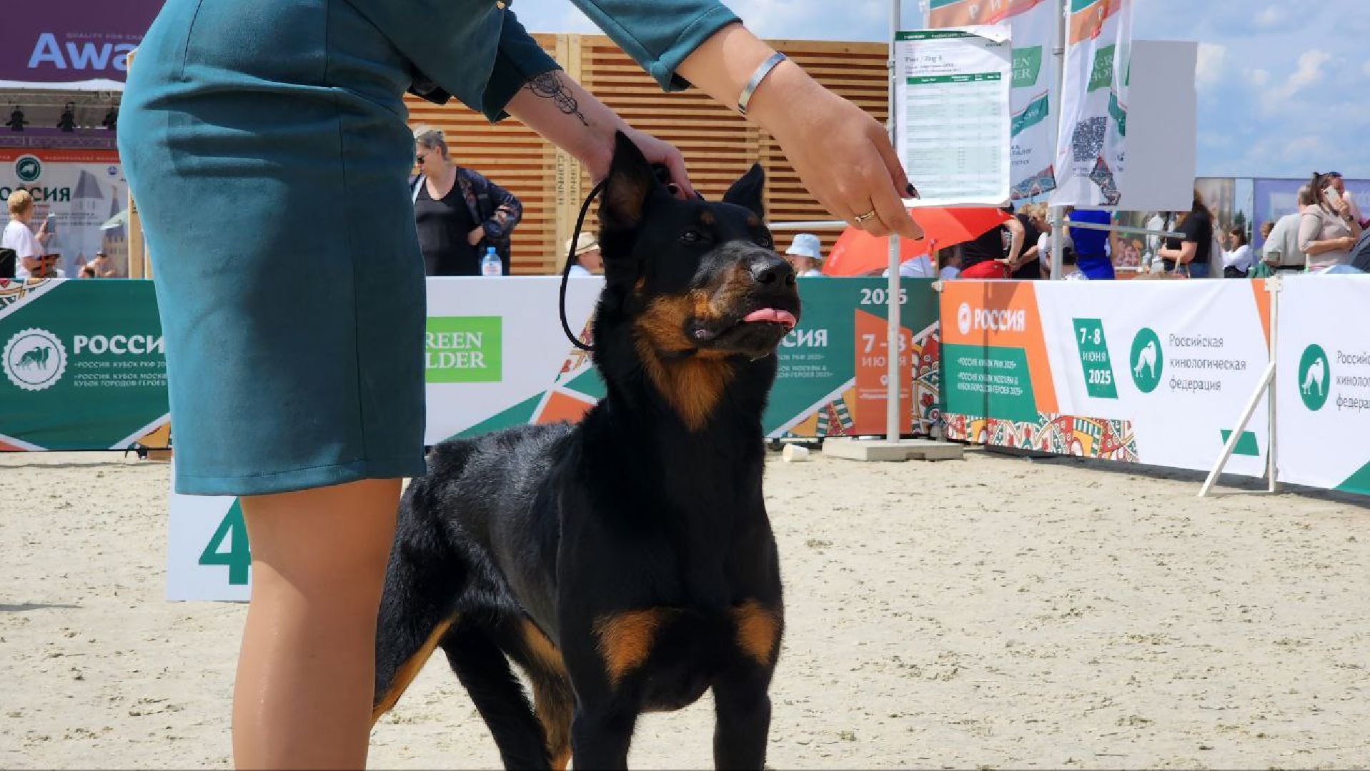 Дмитров, Выставка собак, Российская кинологическая федерация, Спорткомплекс Максима Парк,