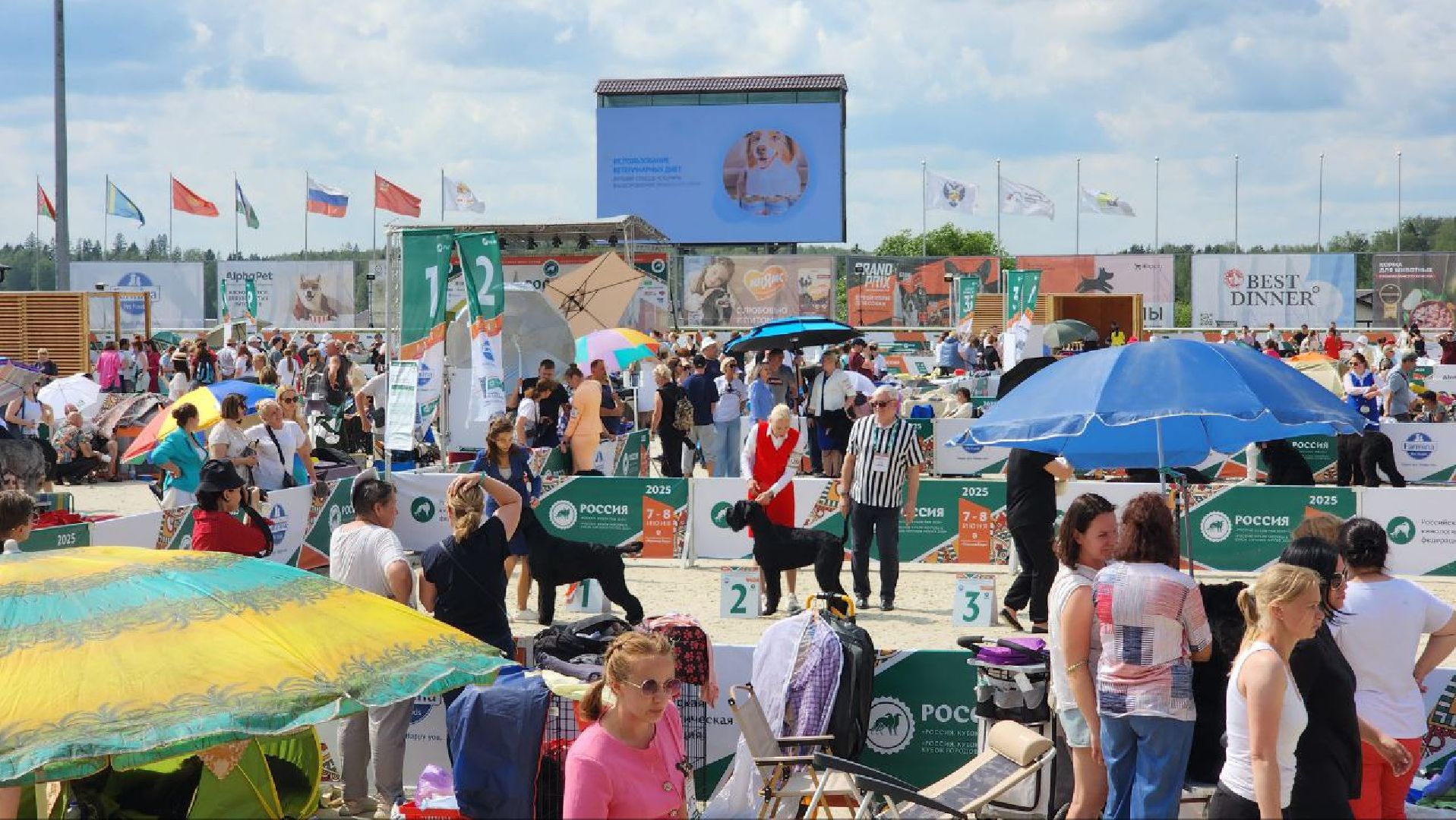 Дмитров, Выставка собак, Российская кинологическая федерация, Спорткомплекс Максима Парк,