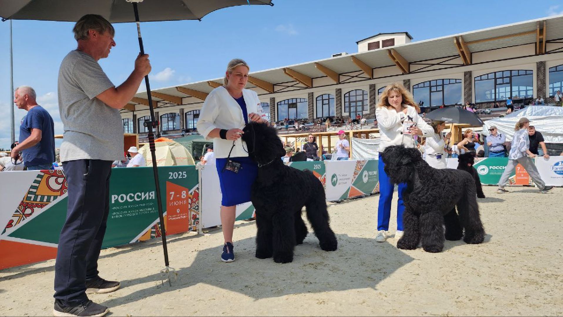 Дмитров, Выставка собак, Российская кинологическая федерация, Спорткомплекс Максима Парк,
