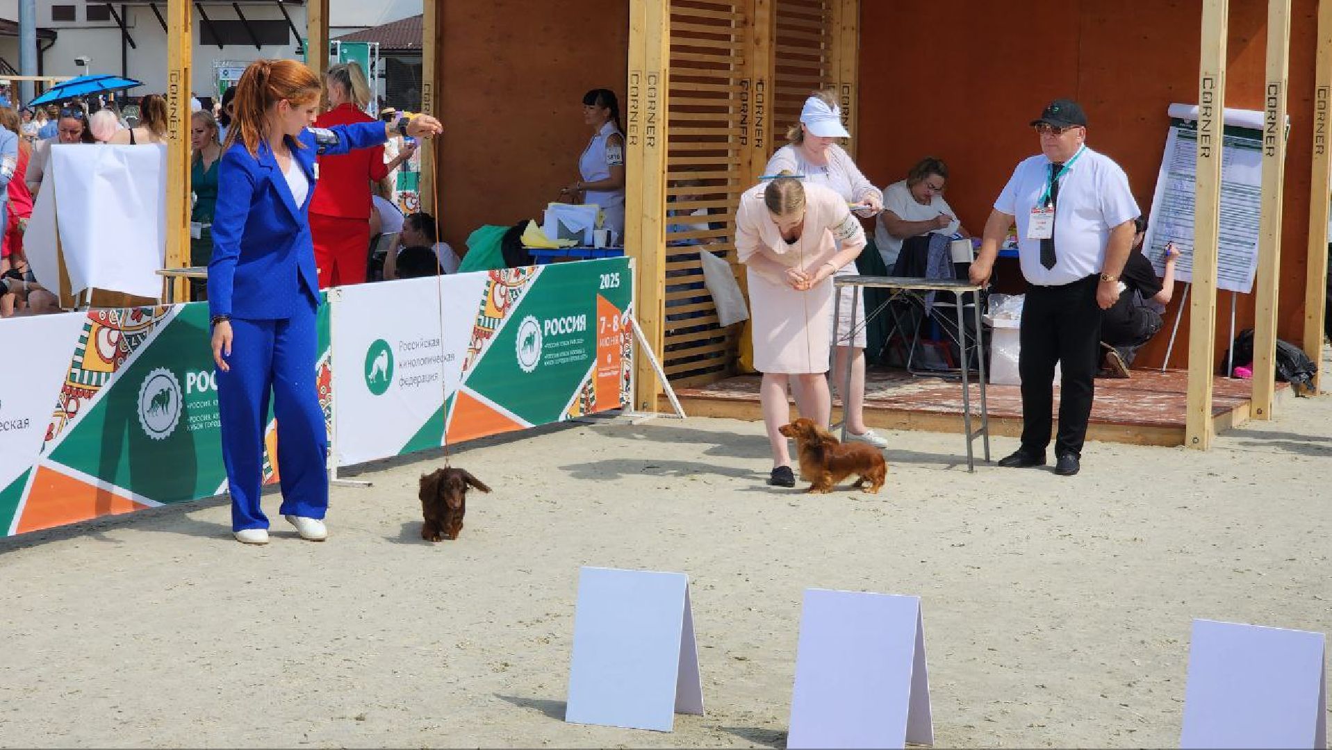 Дмитров, Выставка собак, Российская кинологическая федерация, Спорткомплекс Максима Парк,