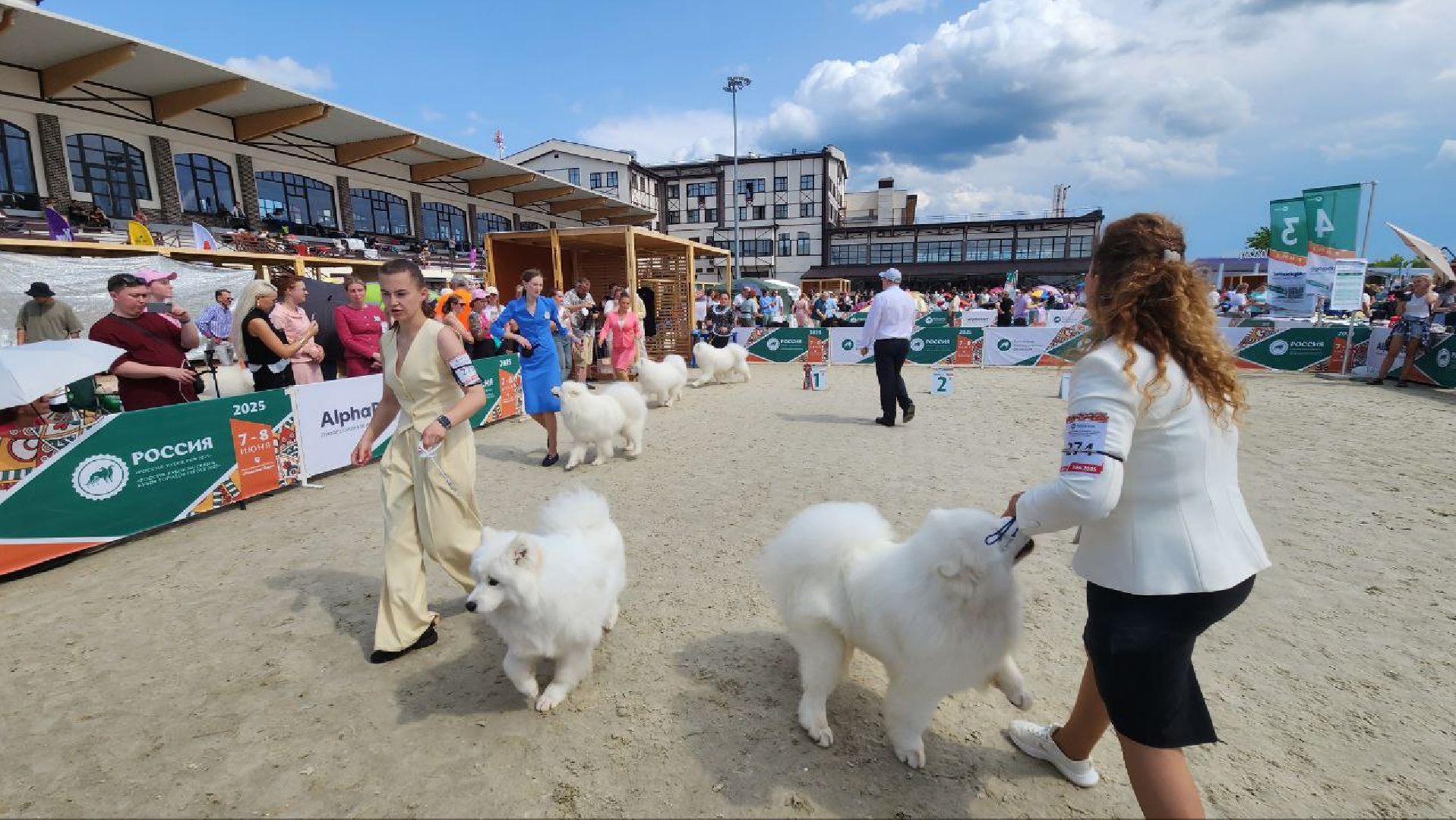 Дмитров, Выставка собак, Российская кинологическая федерация, Спорткомплекс Максима Парк,