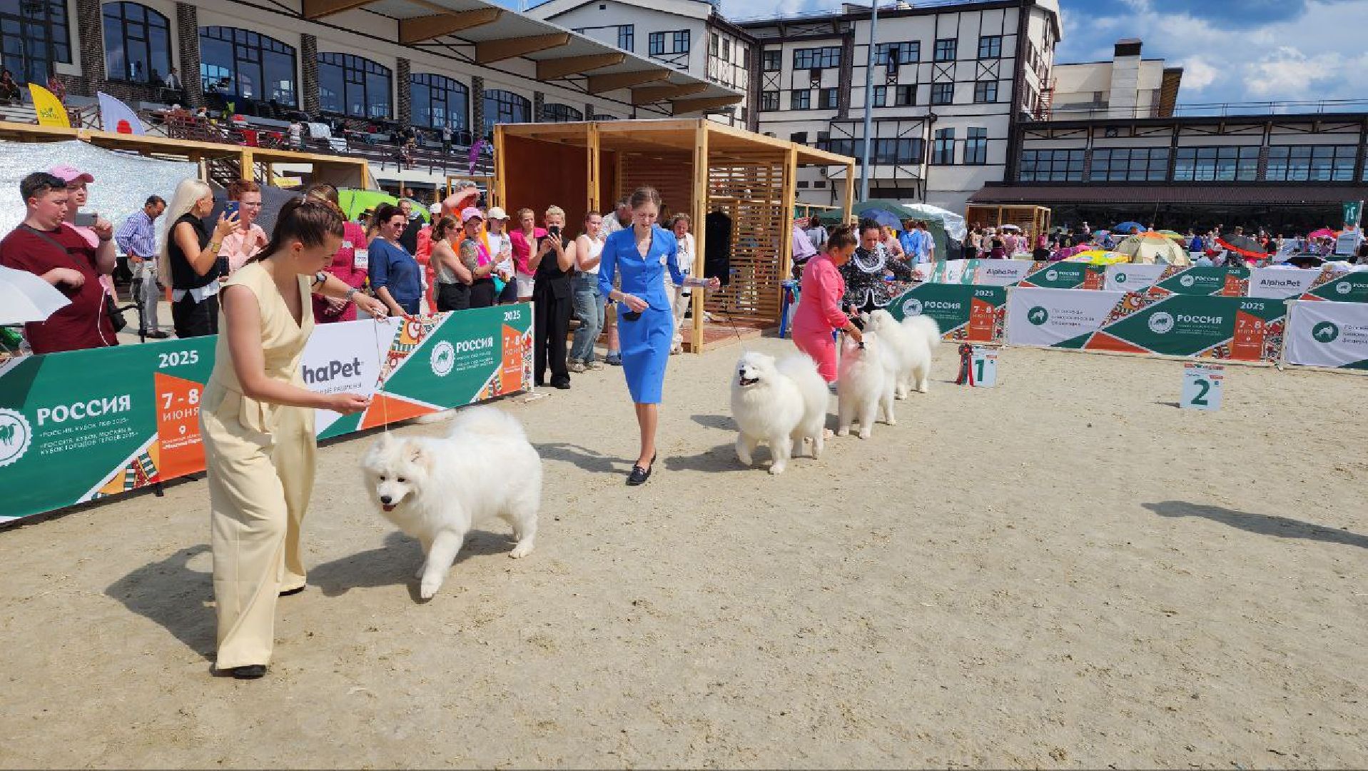 Дмитров, Выставка собак, Российская кинологическая федерация, Спорткомплекс Максима Парк,