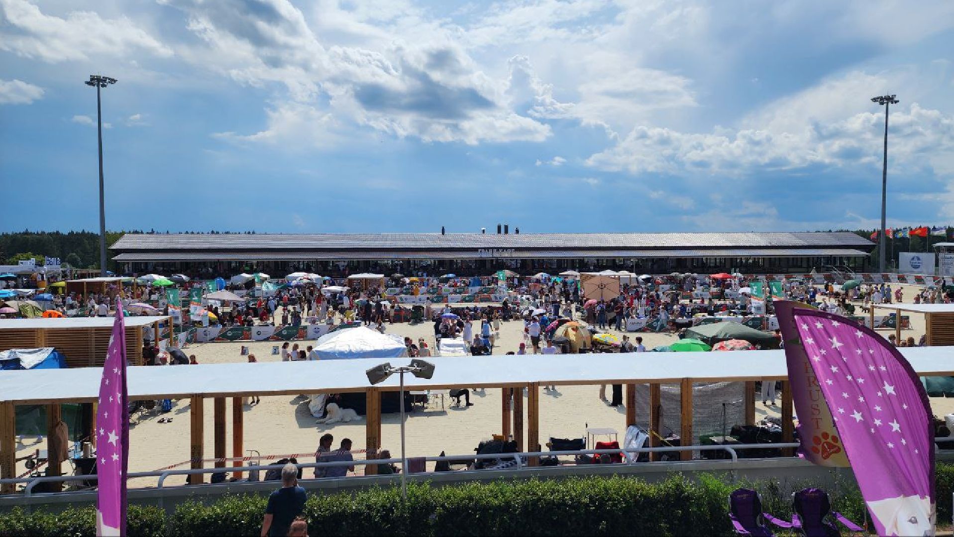 Дмитров, Выставка собак, Российская кинологическая федерация, Спорткомплекс Максима Парк,