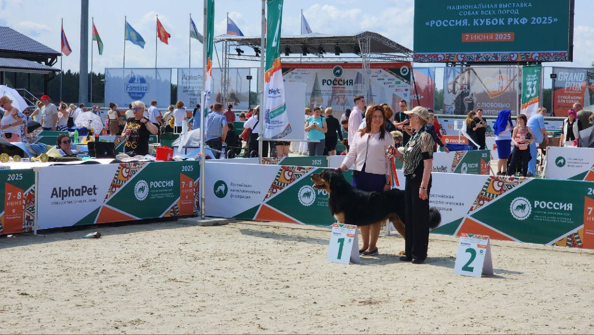 Дмитров, Выставка собак, Российская кинологическая федерация, Спорткомплекс Максима Парк,