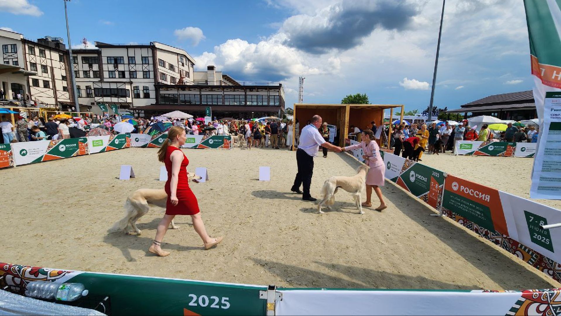 Дмитров, Выставка собак, Российская кинологическая федерация, Спорткомплекс Максима Парк,
