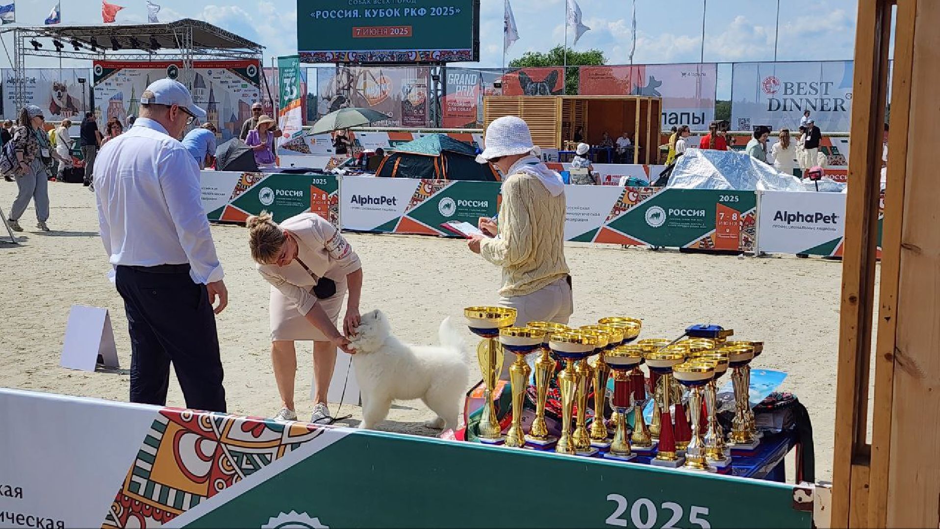 Дмитров, Выставка собак, Российская кинологическая федерация, Спорткомплекс Максима Парк,