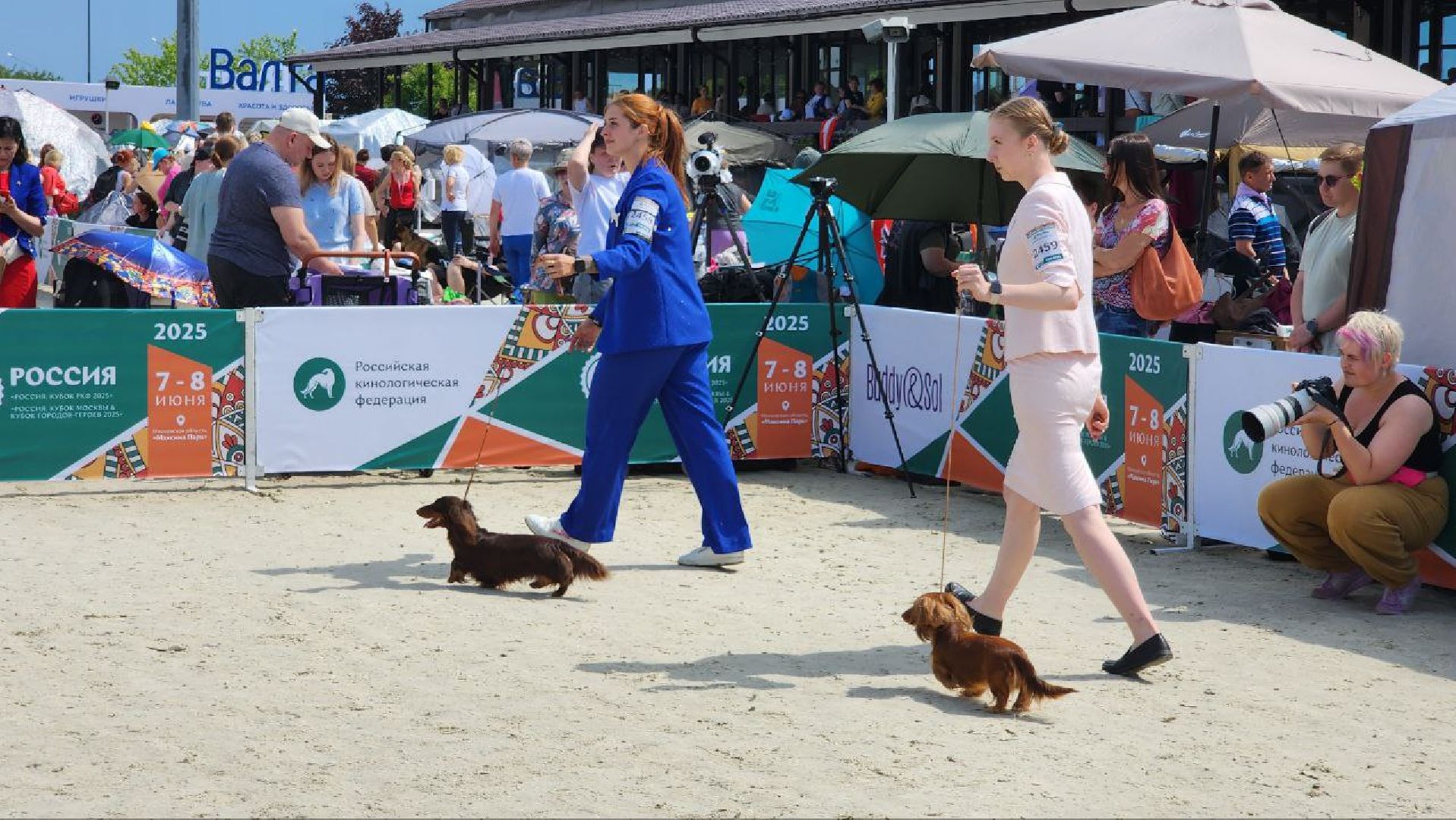 Дмитров, Выставка собак, Российская кинологическая федерация, Спорткомплекс Максима Парк,