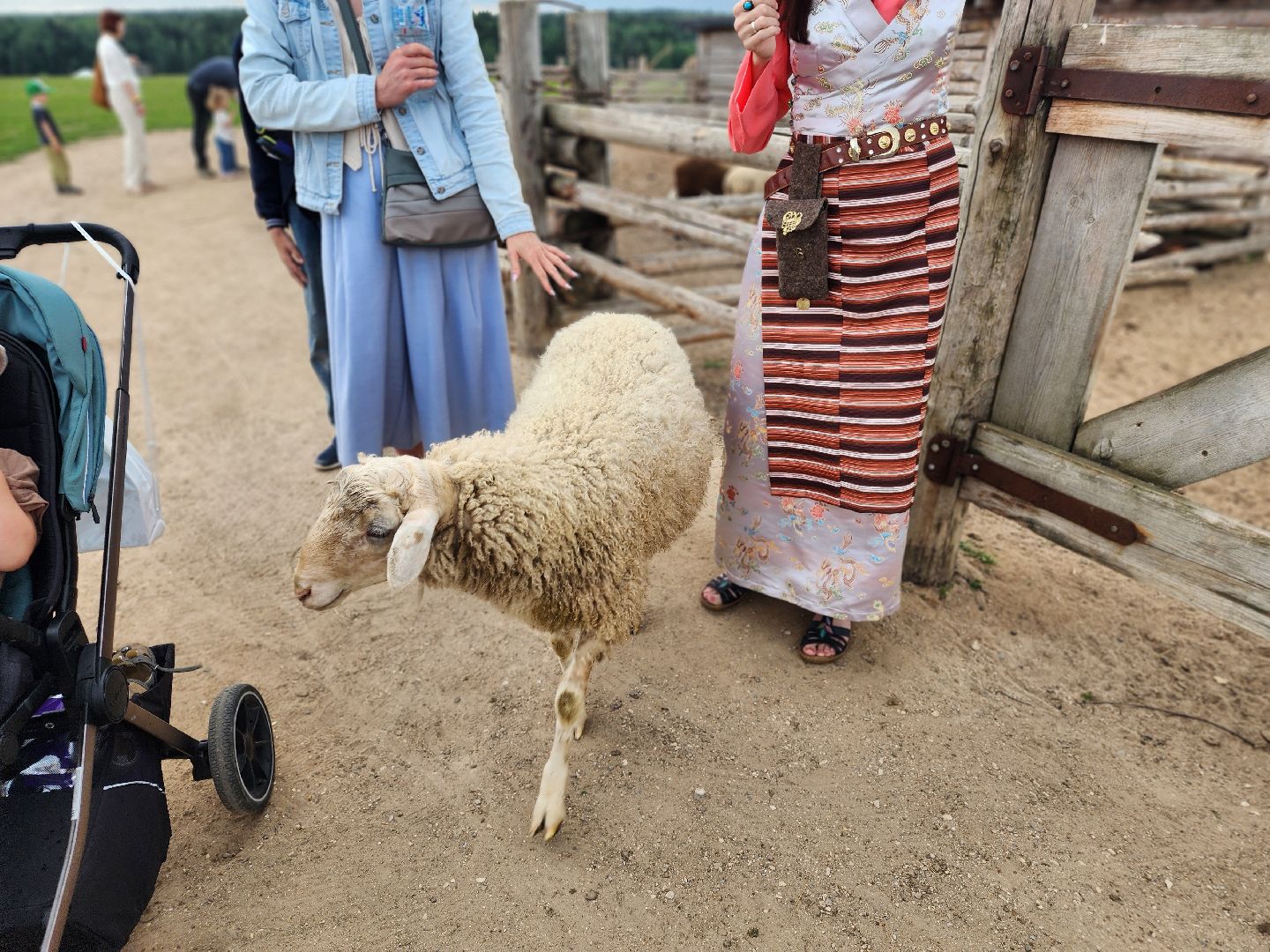 сергиев посад, хотьково, этнопарк кочевник, многомама сергиев посад,