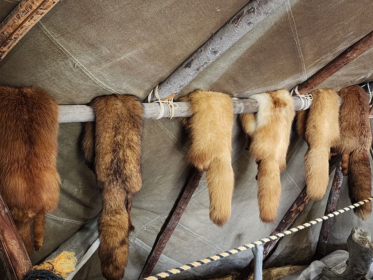 сергиев посад, хотьково, этнопарк кочевник, многомама сергиев посад,