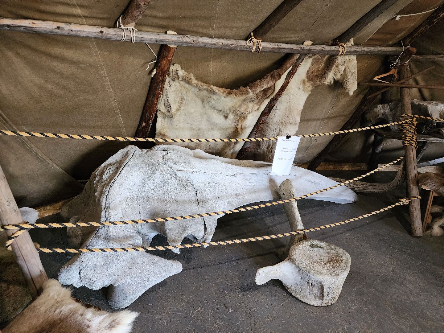 сергиев посад, хотьково, этнопарк кочевник, многомама сергиев посад,