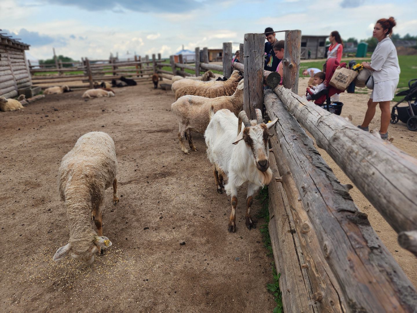 сергиев посад, хотьково, этнопарк кочевник, многомама сергиев посад,