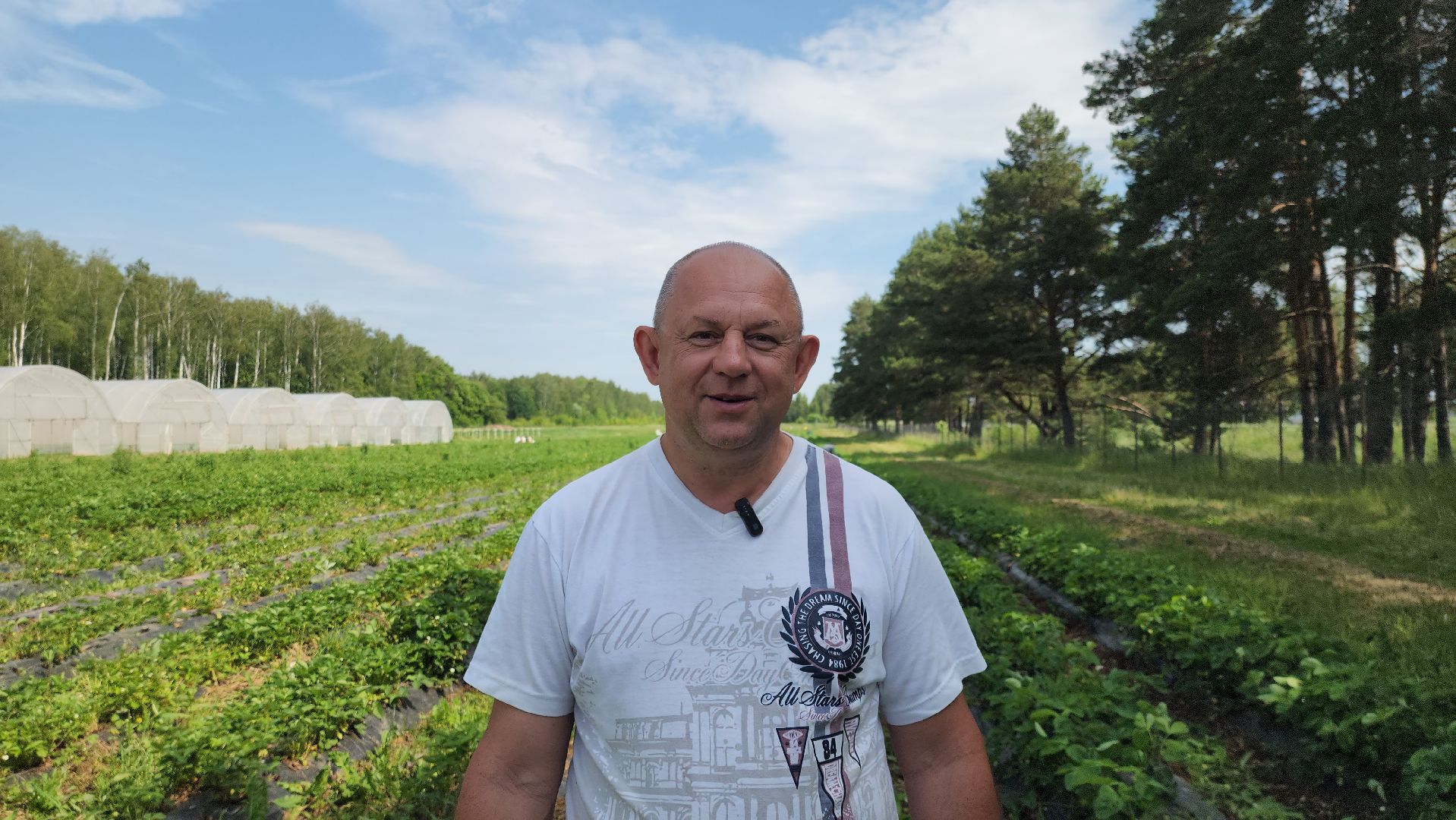 луховицы, астапово, сбор клубники, сельское хозяйство,