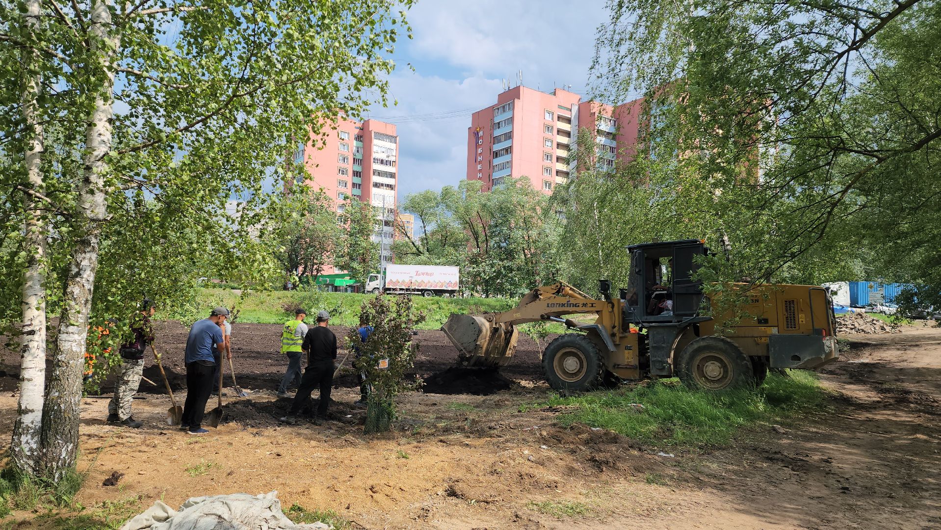 Благоустройство , Сад, Пересадка деревьев , Лобня,
