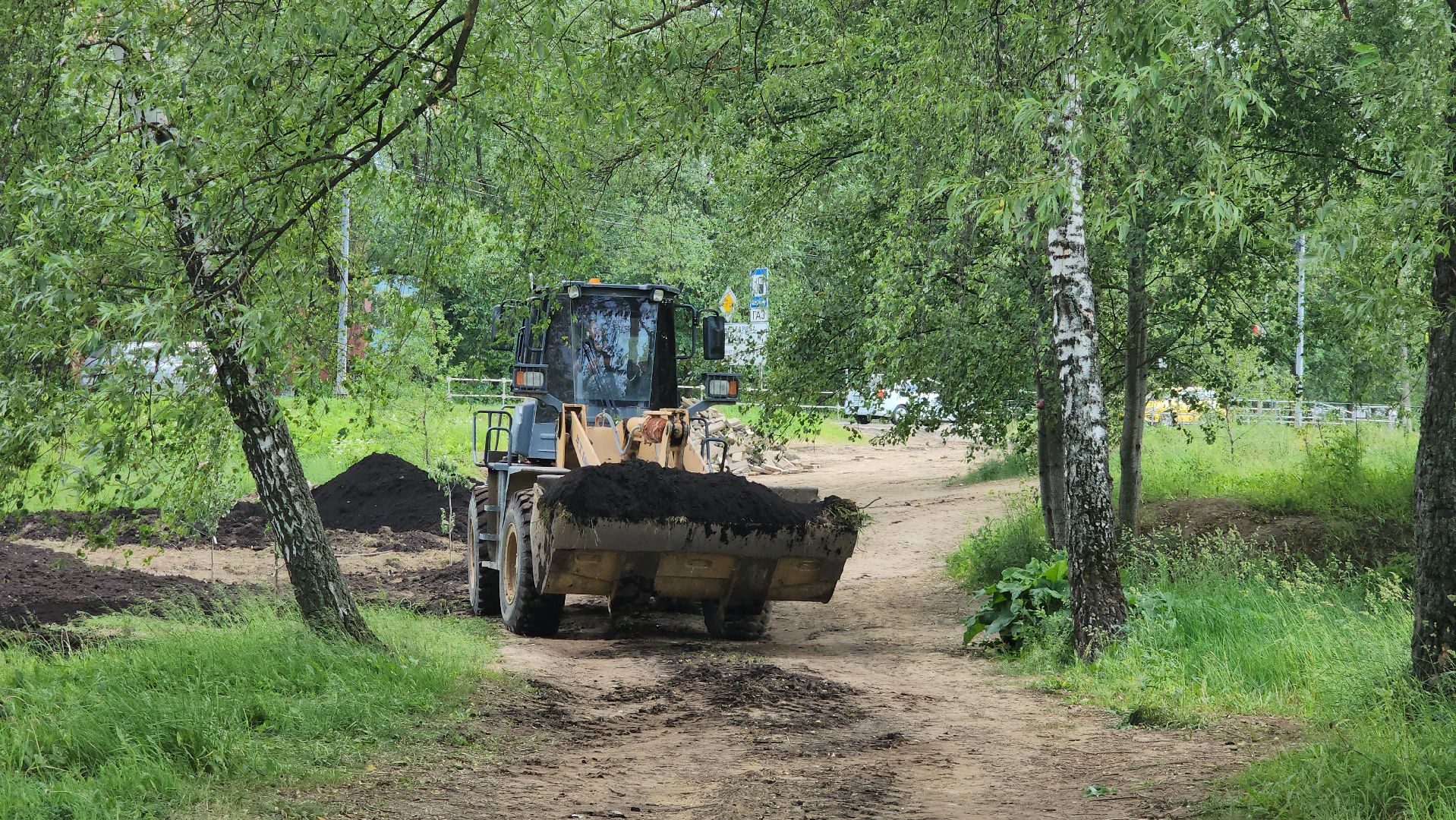 Благоустройство , Сад, Пересадка деревьев , Лобня,