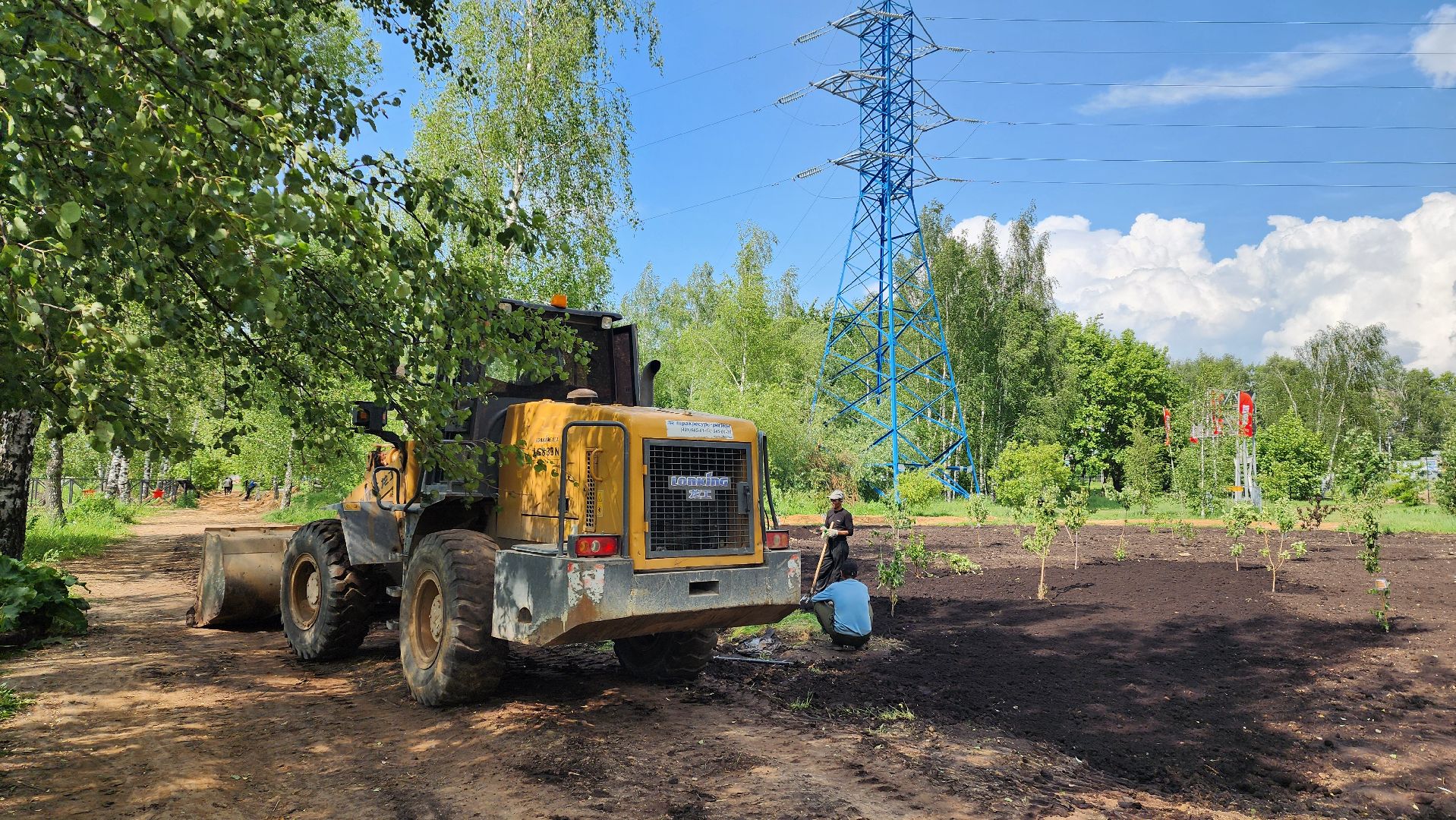 Благоустройство , Сад, Пересадка деревьев , Лобня,