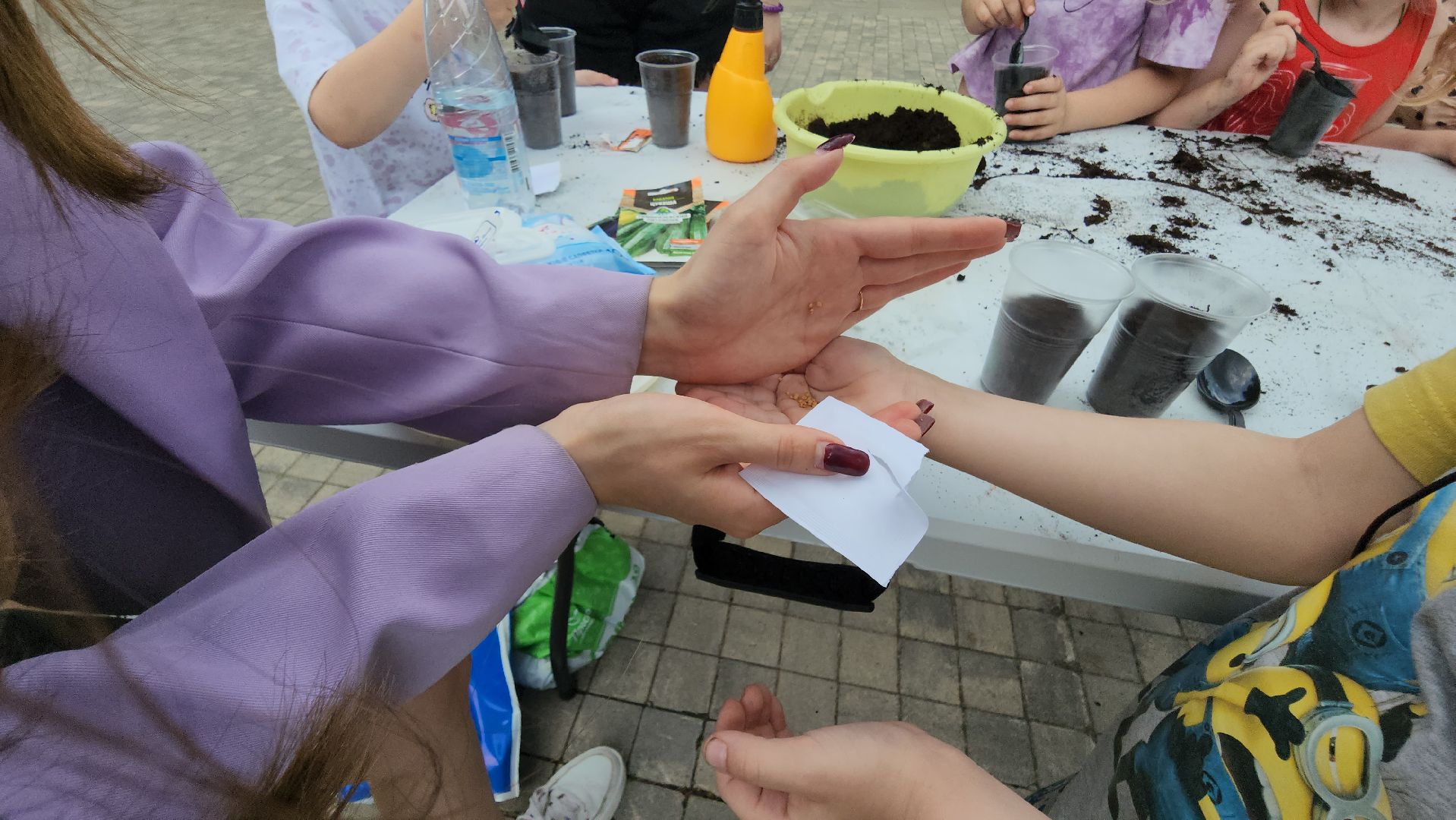 Истра, Парк, Огород, Семена,  Рассада,