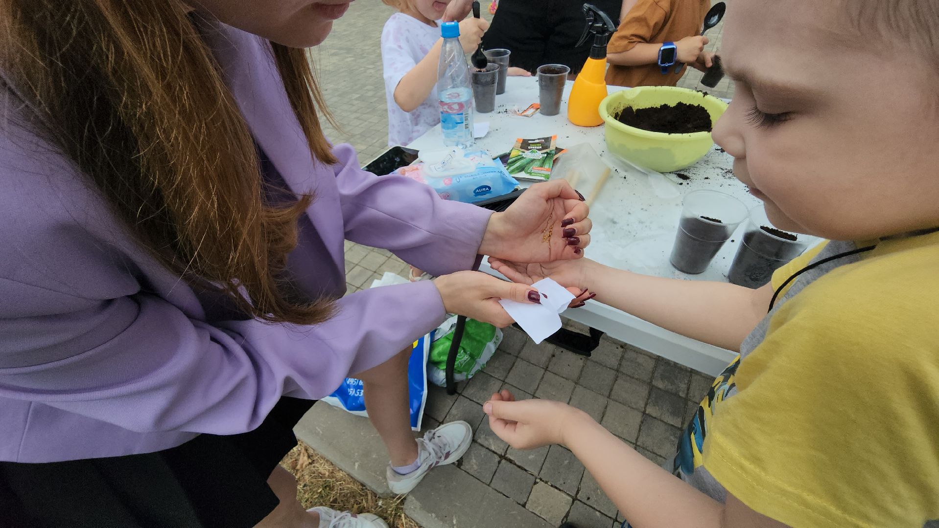 Истра, Парк, Огород, Семена,  Рассада,