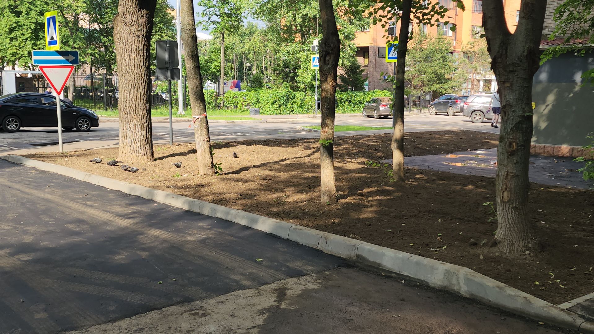 пушкино, благоустройство, асфальтирование дворов, внутриквартальная дорога,подрядчик, ремонт тепловых сетей,