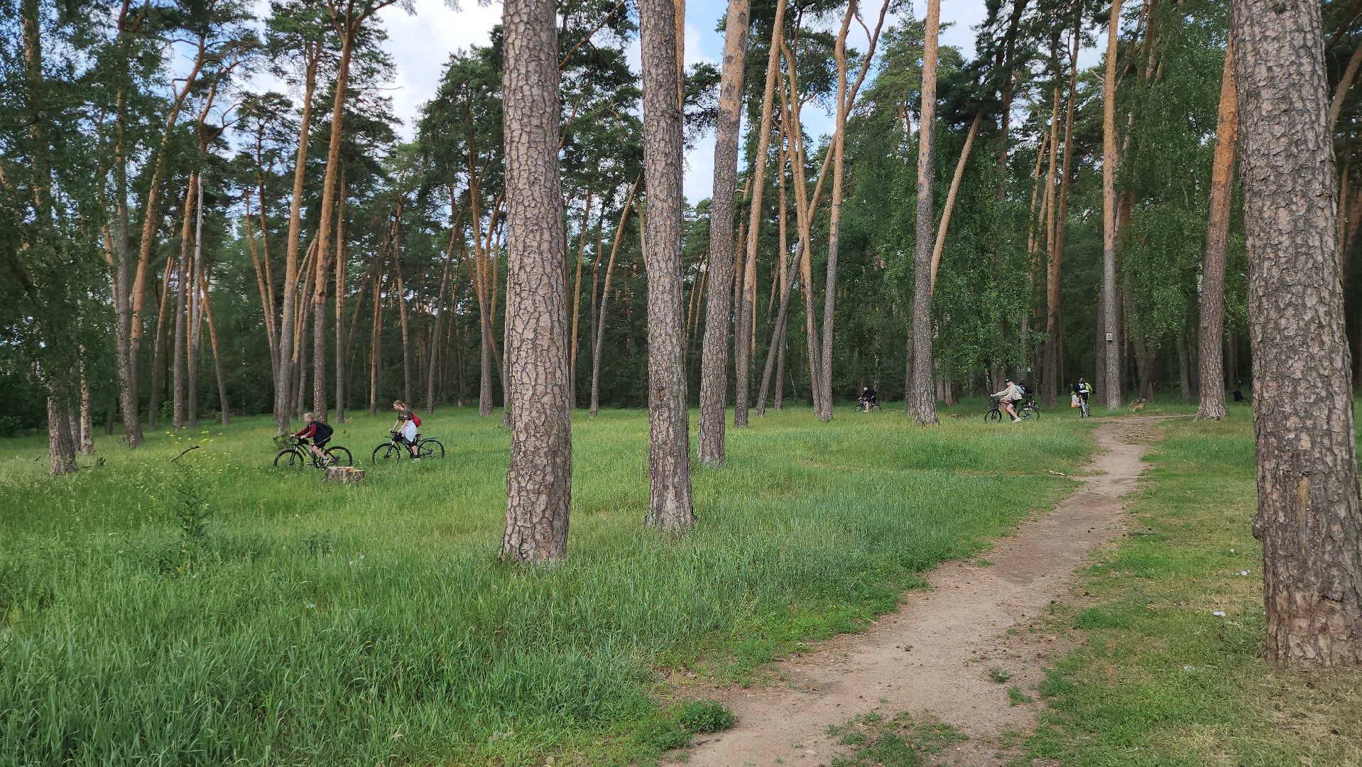 серпухов, подмосковье, эковелозаезд, экология, уборка мусора,